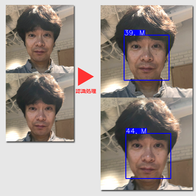 face_detect_2
